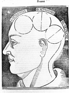 Aristotelis libri IV de coelo et mundo Cum Expositione S.Thomae de Aquino et Cum Additione Petri Alverniae.これはアリストテレスの書物に聖トマス・アクィナスの解説を加え、アルヴェルニアのペトロによる追加説明を加えたものである。ヴェネツィア、1495年版