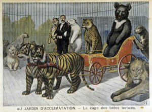 ジャルダン・ダクリマサシオン：猛獣の檻 - 1895年2月6日付「Le Petite Journal」にて 作： Unknown artist