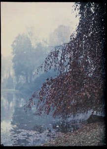 秋の風景、霧の中の湖と赤い木 - 1920年頃 (Autumn Landscape, Lake and Red Tree in fog) オートクローム無名コレクション privee 作： Unknown Artist