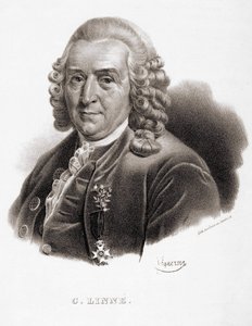 カール・フォン・リンネ スウェーデンの博物学者・作家（1707～1778）。