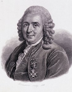 カール・フォン・リンネ スウェーデンの博物学者・作家（1707～1778） - 「有用な人間の肖像」より