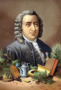 カール・フォン・リンネ スウェーデンの博物学者・作家（1707 - 1778） ルイ・フィギエの「La Ciencia y sus Hombres」の後に描かれています。バルセロナ 1881 作： Unknown artist