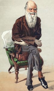 チャールズ・ダーウィン（1809-1882）、9月30日付「ヴァニティ・フェア」のイラスト 作： Unknown artist