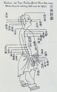 中国鍼灸：三熱の経絡