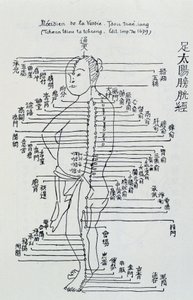中国鍼灸：膀胱の経絡について 作： Unknown artist