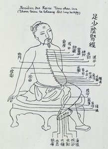 中国鍼灸：腎の経絡