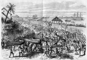 コチンチン：1865年にサイゴンの信徒が組織した毎年恒例の龍の行列。 作： Unknown artist