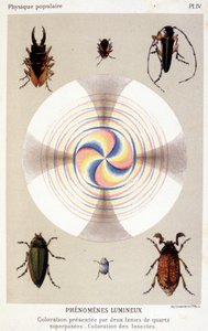重ね合わせた2枚の石英の刃による発色、昆虫の発色 - Emile Desbeauxの "La physique populaire "より 作： Unknown artist