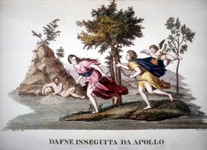 アポロンに追われるダフネ - in Dizionario mitologico 作： Unknown artist