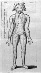 De Acupunctura by W.Ten Rhijne.ロンドン1683年。鍼灸を扱った最初の西洋文献。