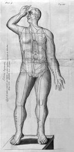 De Acupunctura by W.Ten Rhijne.ロンドン1683年。鍼灸を扱った最初の西洋文献。