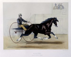 デクスター・トロットゥール - "The centaur "にて