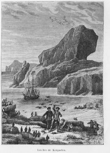 発見と探検：ケルゲレンの島々-「Les voyageurs du 18 et 19 century, by Jules Verne, ed. Hetzel et Cie, Paris」に掲載されています。 作： Unknown artist
