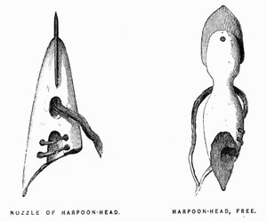 Eskimo Harpoons - Elisha Kent Kane, Artic Exploration in years 1853-1855, Philadelphia, Childs and Peterson 作： Unknown artist
