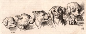 犬から人間への進化 作： Unknown