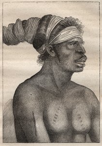 アントワーヌ・ブルーニ（Bruni）・ダントルカストー（1737-1793）の遠征で、1791年にジャン・フランソワ・ガラップ・ド・ラ・ペルーズ（1741-1788）を捜索：ニュー・ホランド（オーストラリア）のタイプ（腕と胸に瘢痕） - 図版は「The Grands Mariners of the Th. 作： Unknown artist