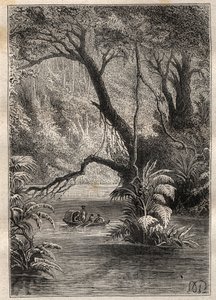 アレキサンダー・フォン・フンボルト（1769-1859）とアイム・ボンプラン（1773-1858）によるアメリカ遠征（1799-1804）：アマゾンの森の巨木に囲まれてオレノーク川を下る探検家たち（ベネズエラ、カノ・ピミチン）-イラストは「The Great」より引用 作： Unknown artist