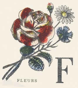 F：花