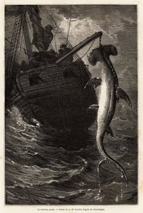 アナスタシア島近海で長さ7メートルのハンマー・スコールを釣り上げる。1851年から1852年にAchille Pousselgueが行ったフロリダでの4ヶ月間の物語を説明するためのエングレーヴィング。「Le tour du monde」1870年から1871年、Edouard Charton編、アシェット編集部刊 作： Unknown artist