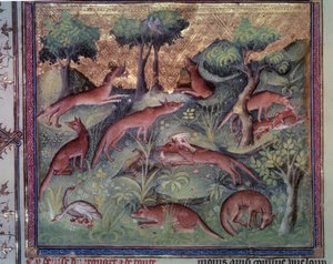 家禽を狩るキツネ。Gaston Phoebus (1331-1391) dit Gaston III Comte De Foixによる写本「Le livre de la chasse」（フォリオ34v）のミニチュア。 作： Unknown artist