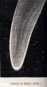 ハレー彗星 1835年 - 1867年頃の刻印 作： Unknown artist