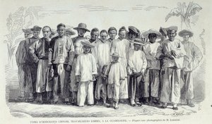 フランス植民地の歴史。グアドループで働く中国系移民たち。19世紀末のシャルトルのミュゼ・デ・ボザールの写真をもとに描かれたドローイング