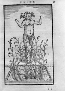 ブラジャーを着けない男性 - 1599年にブレシアで編集されたジョヴァンニ・バッティスタ・ナザーリの「De Transmutatione Metallica Sogni Tre」の中で。 作： Unknown artist