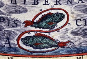ホロスコープ：十二支のサイン、魚座。16世紀のエングレーヴィング。 作： Unknown artist