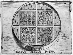 Hortus Medicus Patav:パドヴァの医学庭園 作： Unknown artist