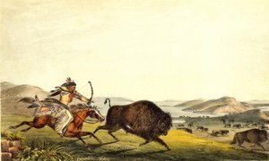 北アメリカのバイソン狩り。19世紀 作： Unknown artist