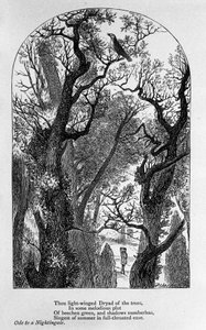 詩人ジョン・キーツ（1795-1821）の「ナイチンゲールに捧げる歌」の挿絵 19世紀
