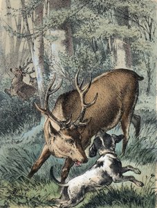 フランツ・ホフマンの物語「物語と寓話」の挿絵「2頭の鹿」：逃げ惑う鹿と犬と戦う鹿。19世紀のクロモリトグラフ。