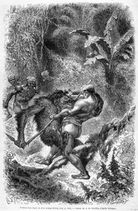 1862年に出版された「Le Tour du monde」に掲載された、ボルネオ島でのダヤック族とオランウータンの戦いを描いたイラスト。エングレーヴィングです。 作： Unknown artist