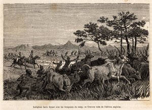 先住民族のバリス（スーダンの人々）が、ベイカー卿に没収された牛の群れを連れて、略奪や奴隷化のために地域の他の部族を襲わないように逃げている様子を描いた版画。 作： Unknown artist
