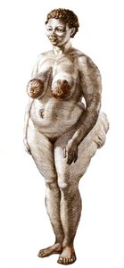 La Venus Hottentote, woman of broad Bochiman (The Hottentot Venus, 1815年の彫刻). 作： Unknown artist