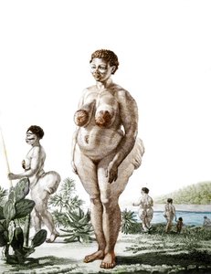 La Venus Hottentote, woman of broad Bochiman (The Hottentot Venus, 1815年の彫刻). 作： Unknown artist