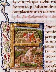 園芸の章のレトリンF：水揚げと灌漑のシーン。農学者Lucius Iunius Moderatus Columella（1世紀）の「De re rustica」から引用されたミニチュア（Ms.E-39）。15世紀ローマ、ビブリオテカ ヴァリチェリアーナ 作： Unknown artist