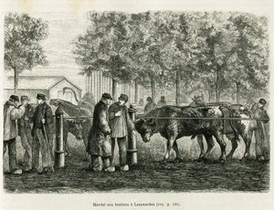 Leeuwarden（オランダ）での家畜の散歩。エドワード・シャルトン（1807-1890）が監督した「le tour du monde 1886」に掲載されたオランダの新聞記事をもとにした物語「La Frise」を説明するためのエングレーヴィング（Hachette, Paris）。