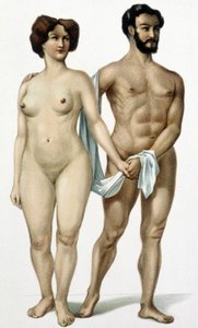 男と女-医学の本 19世紀後半 作： Unknown artist