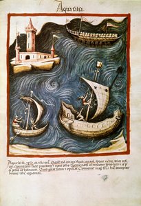 薬の取引：「塩水」 「Tacuinum sanitatis」（Cod.ser.nov.2644）からの引用ページ 1400年頃 ウィーン、オスタライシュ国立聖書館 作： Unknown artist