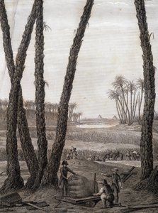 メンフィス、遺跡の風景（科学者と現役アーティスト） - 「エジプトの記述」、インペリアル・エディションより 作： Unknown artist