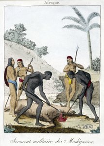 マダガスカルの住民の軍人宣誓（牛を屠殺） - grv.1811