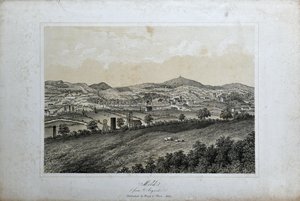 型（アルゴエド産）1850年頃（リトグラフ、紙）