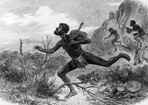 Nativos (aborígines) da Austrália durante a caça às abelhas em 1863, gravura