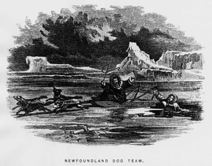 北極点：そり犬がホバリングしている間に男が氷の中に落ちる - Elisha Kent Kane, Artic Exlorations in the year 1853-1855, Philadelphia, Childs and Peterson 作： Unknown artist
