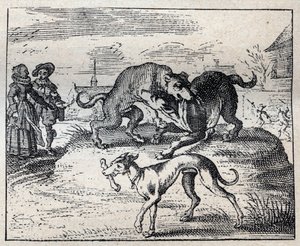 古い英語のことわざ：2匹の犬が骨を狙って努力し、3匹目がそれを奪う。 作： Unknown artist