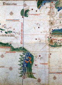 アルベルト・カンティーノの平面図1502年にアルベルト・カンティーノが作成した地図で、トルデシリャス条約（1494年）で定められたポルトガルとスペインのアメリカ大陸の境界線を表している。ビブリオテカ・エステンセ。モデナ 作： Unknown artist