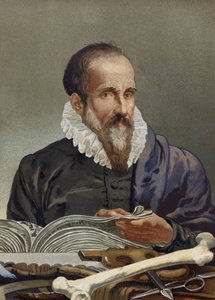 フランスの外科医、アンブロワーズ・パレ（1509-1590）の肖像。ルイ・フィギエの「La Ciencia y sus Hombres」より。バルセロナ 1881年 作： Unknown artist