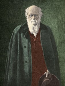 チャールズ・ダーウィン（1809-1882）の肖像 作： Unknown artist