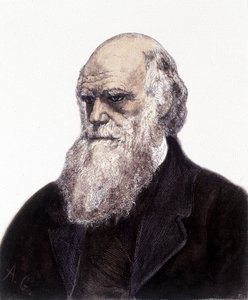 チャールズ・ロバート・ダーウィン（イギリスの博物学者）の肖像（1809-1882 作： Unknown artist